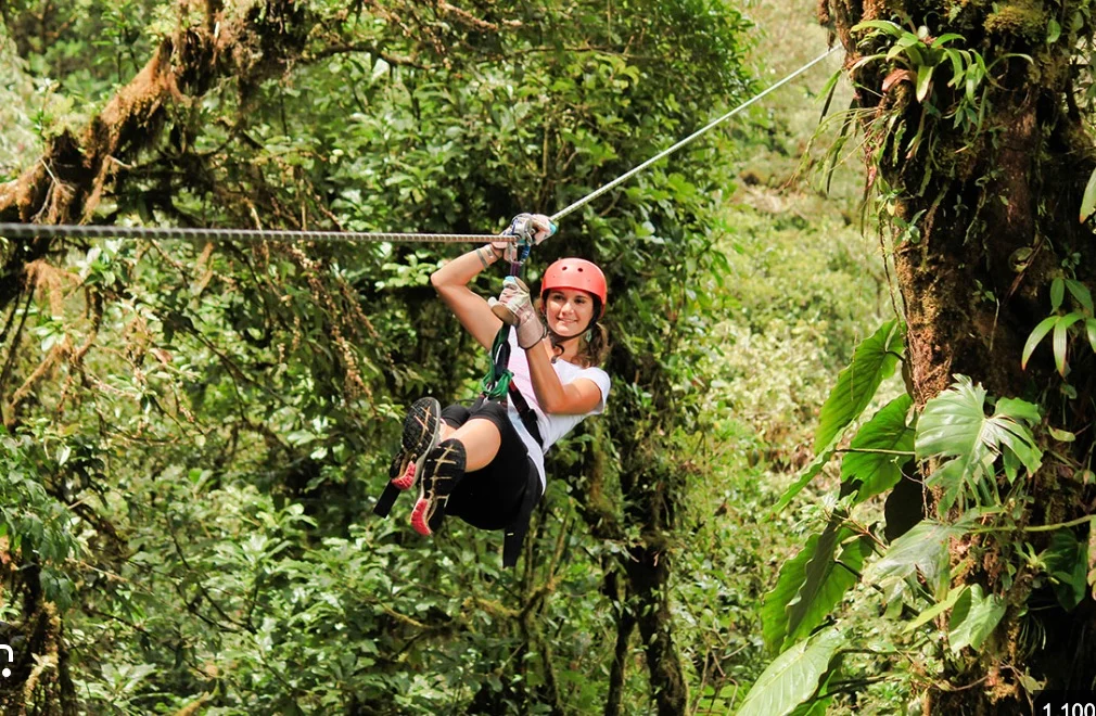 Zip Lining Montezuma